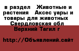  в раздел : Животные и растения » Аксесcуары и товары для животных . Свердловская обл.,Верхний Тагил г.